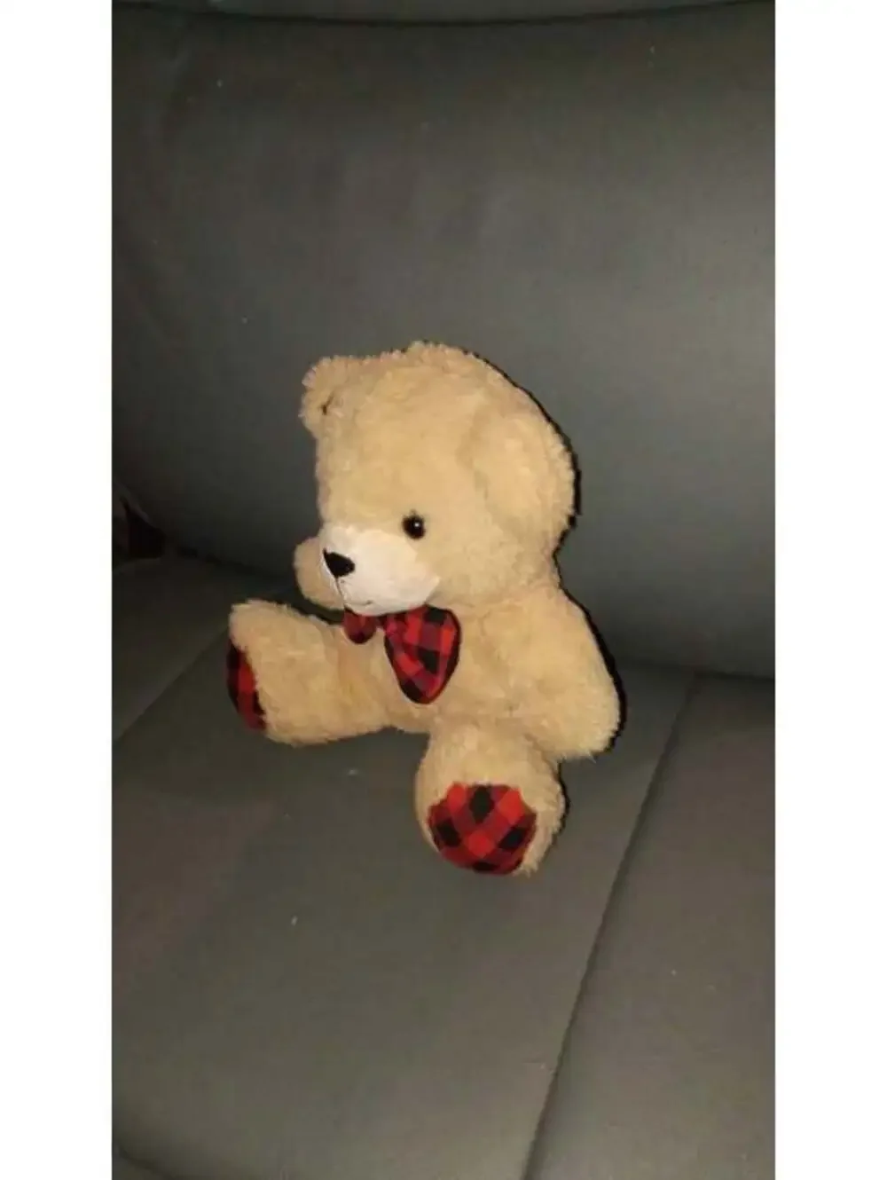 Stuffed Monkey and bear